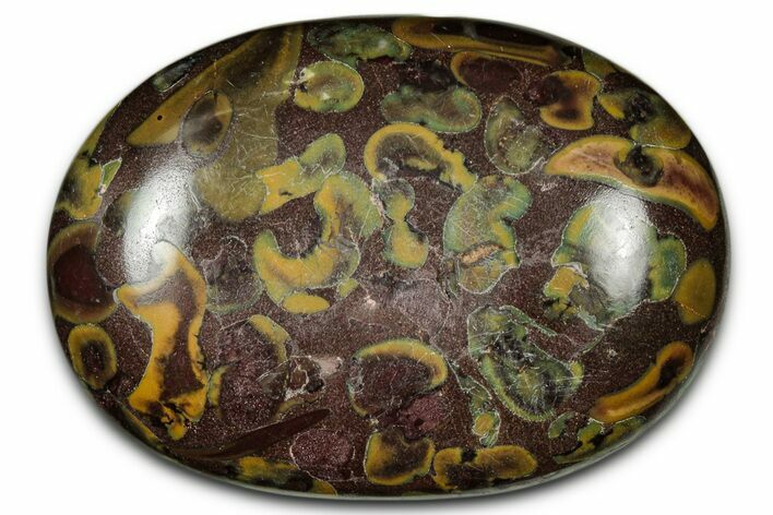 Polished Fruit Jasper Palm Stone - India #342239